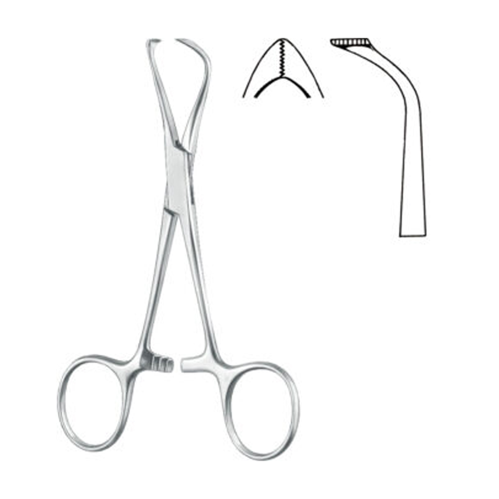 Artery-forceps-Towel-forceps-acc.-to-Lorna-fine-serrated.jpg