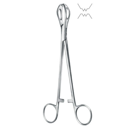 Towel Forceps (According to Lane, Straight)