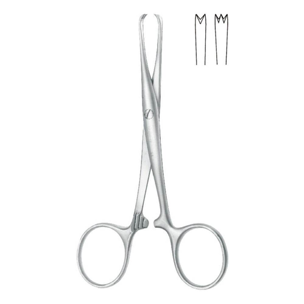 Artery-forceps-forceps-acc.-to-Chaput-straight-2-x-3-teeth.jpg
