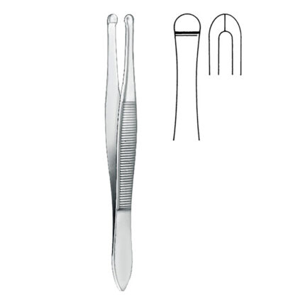 Cilia Forceps (According to Beer, Smooth)