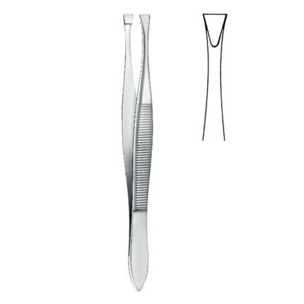 Cilia Forceps (According to Littauer)