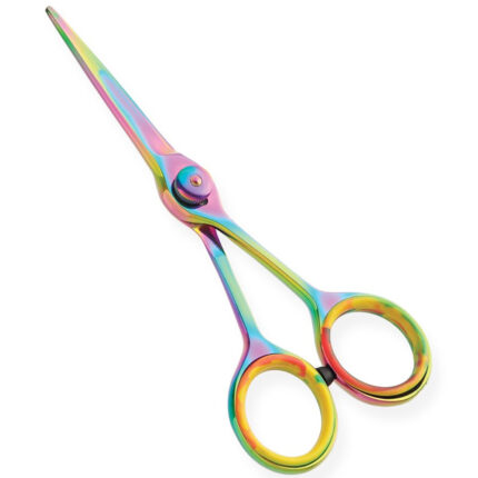 Salon Master Scissors
