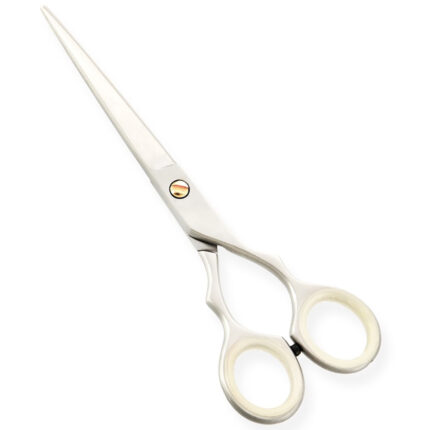 Professional Styling Scissors