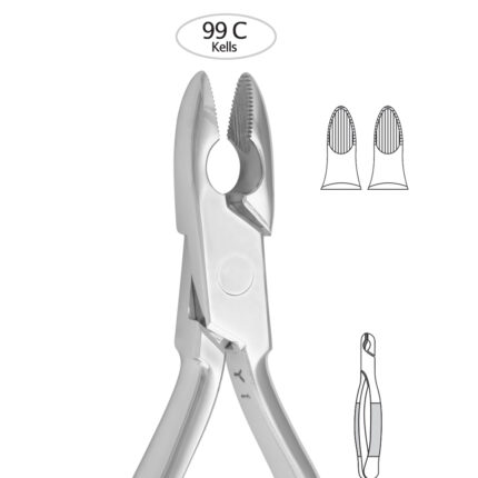 Upper Incisors, Canines, Premolars