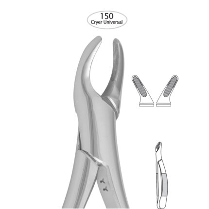 Upper Incisors, Premolars, Roots