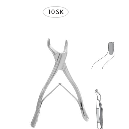 Upper Molares (Sup.10SK)