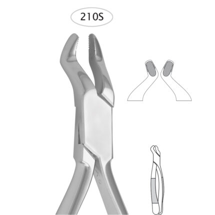 Upper Third Molars (210 S)